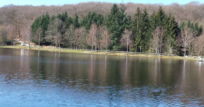 Les règles de la pêche en étang