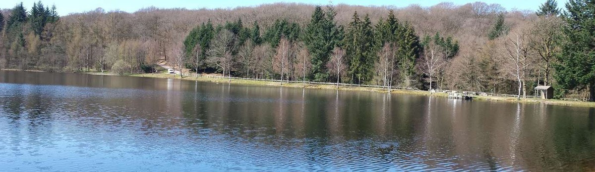 Les règles de la pêche en étang