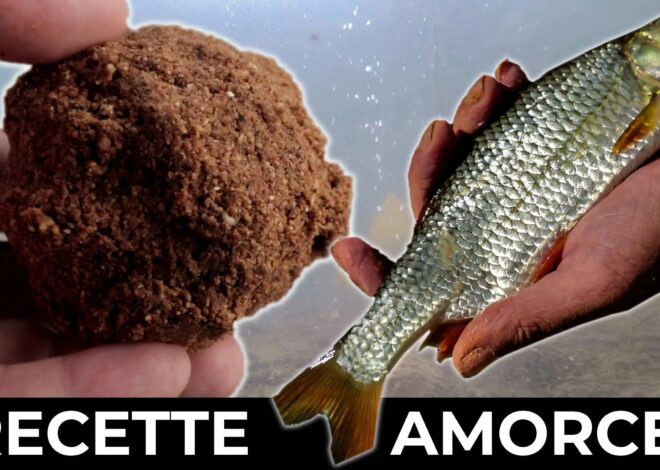 Amorce pour fritures à fond