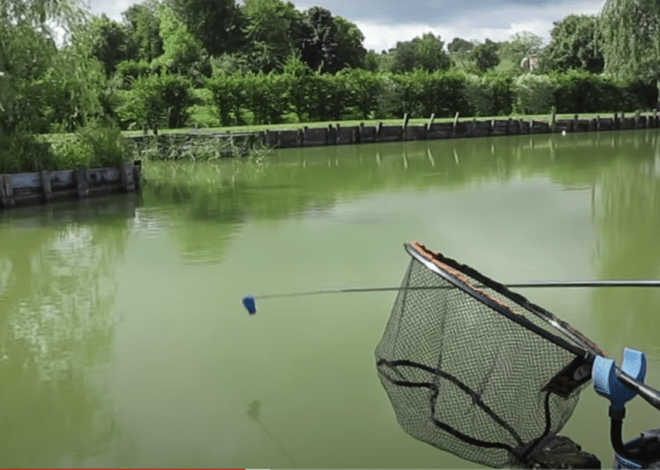 La pêche en étang les règles