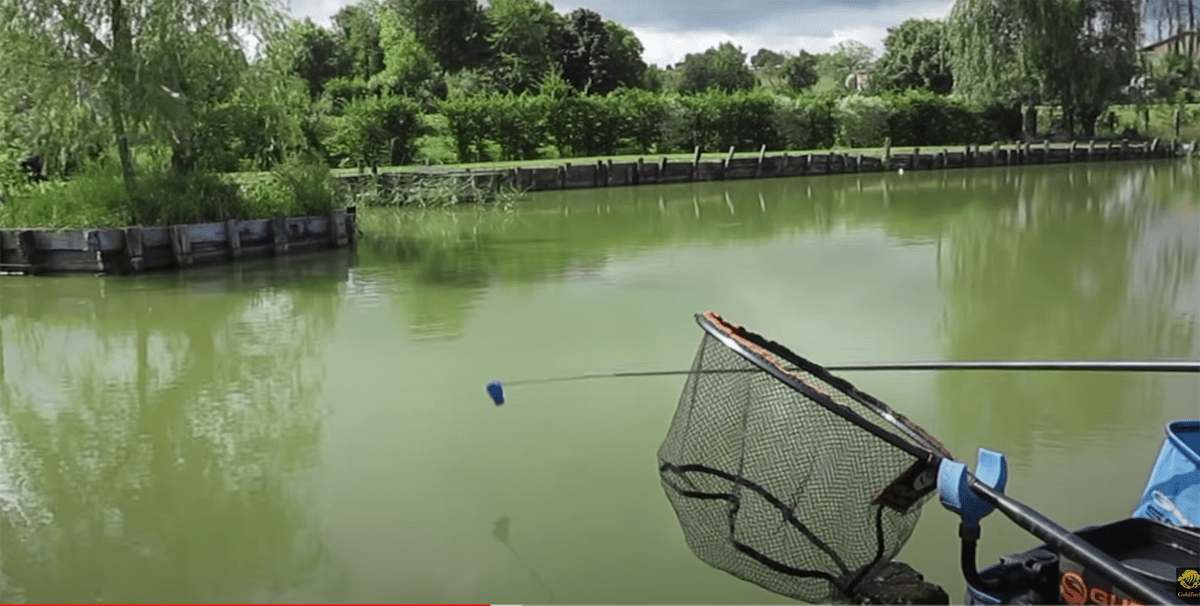 La pêche en étang les règles