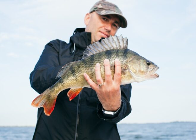 La pêche au coup le montage des lignes