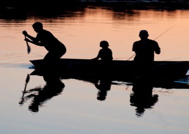 Les bases de la pêche au coup